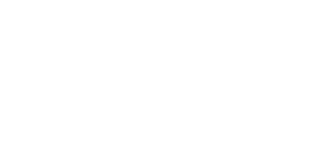 FLKR Lighter Logo
