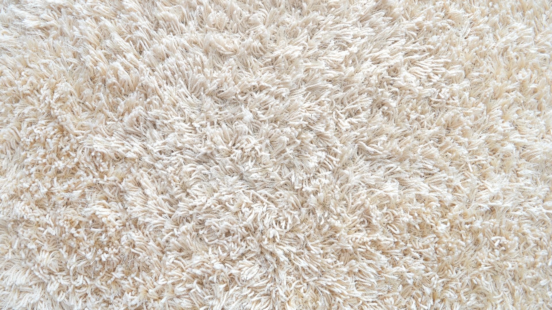 Close-up of soft, plush beige and white shag carpet texture