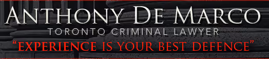 Main Banner Logo