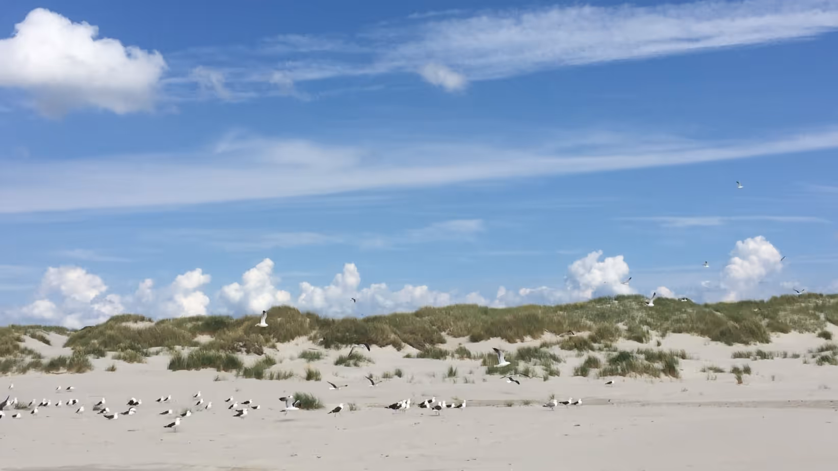 Urlaub Amrum - Dünenlandschaft
