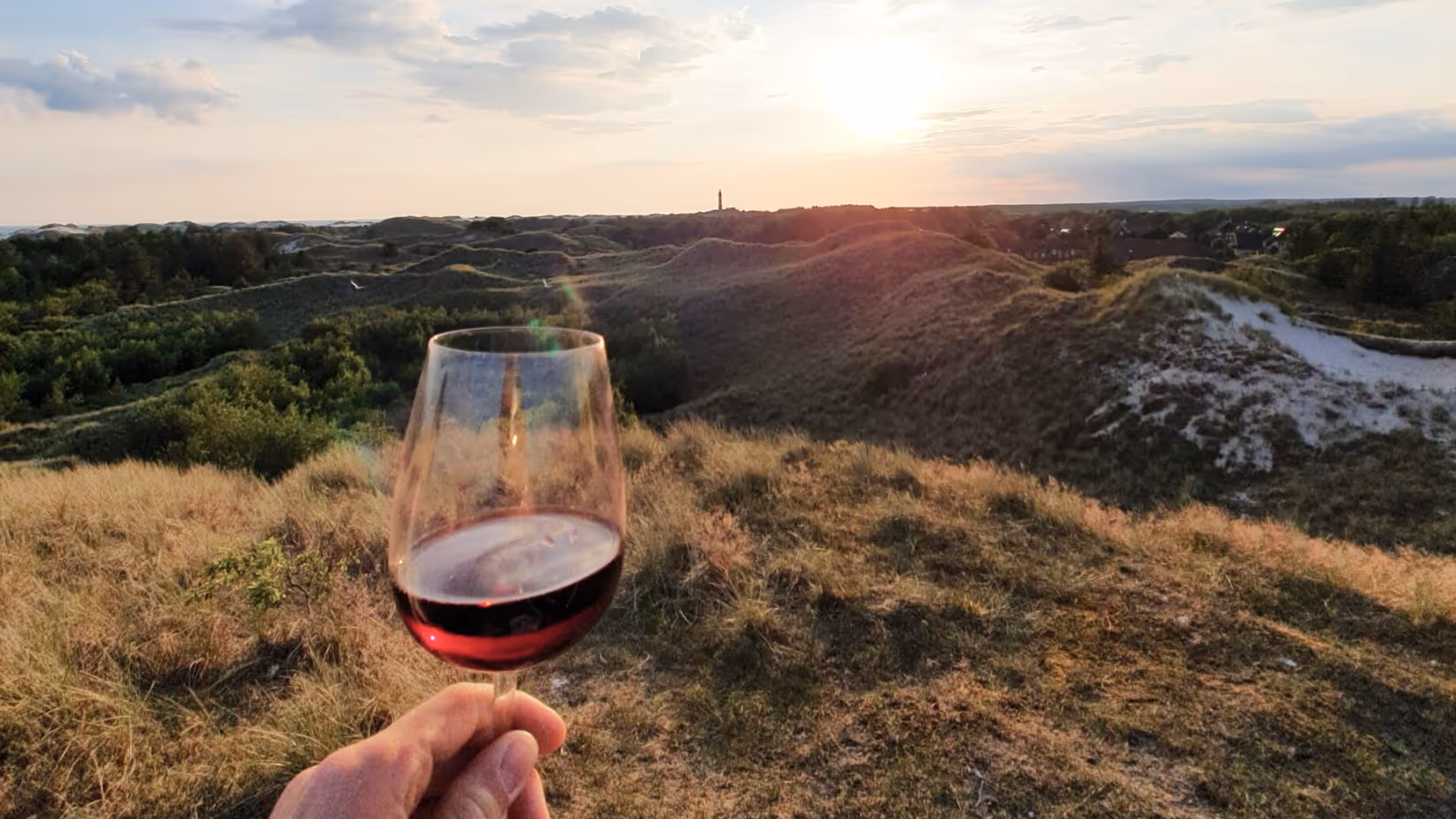 Urlaub Amrum - Wein in den Dünen in der Abendsonne