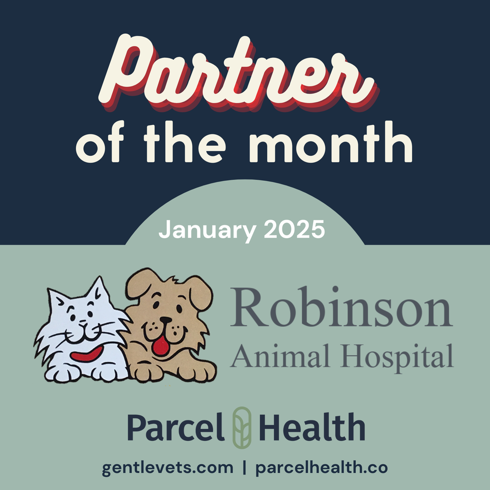 _Partner of the month - 2025 (1).png