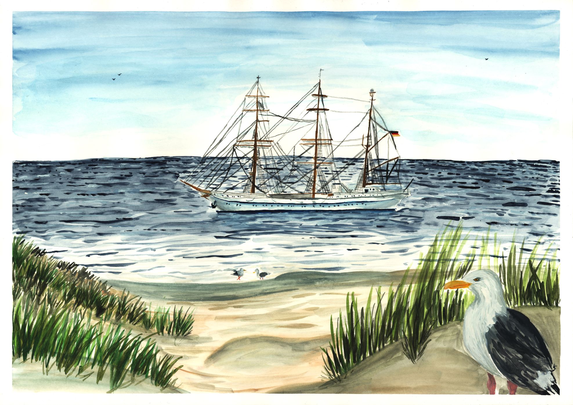 In Aquarelle gemaltes Landschaftsbild der Nordsee mit einer Möwe im Vordergrund, sowie zwei direkt am Ufer im Wasser. Die Gorch Fock schwimmt auf dem Meer.