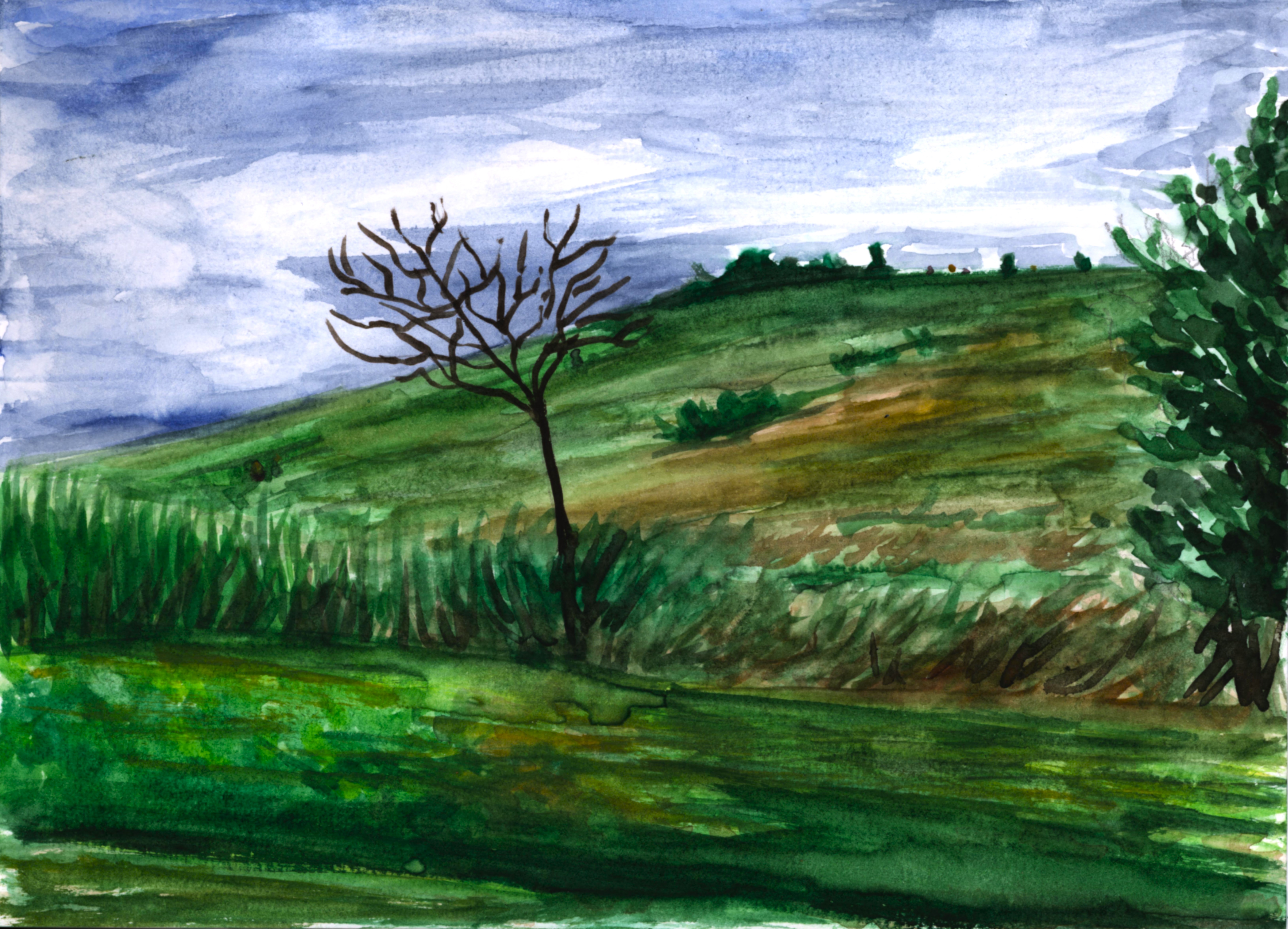 Park in Aganteuil in Aquarelle gemalt. Ein kahler Baum steht vor einem Hügel und grauem Himmel.