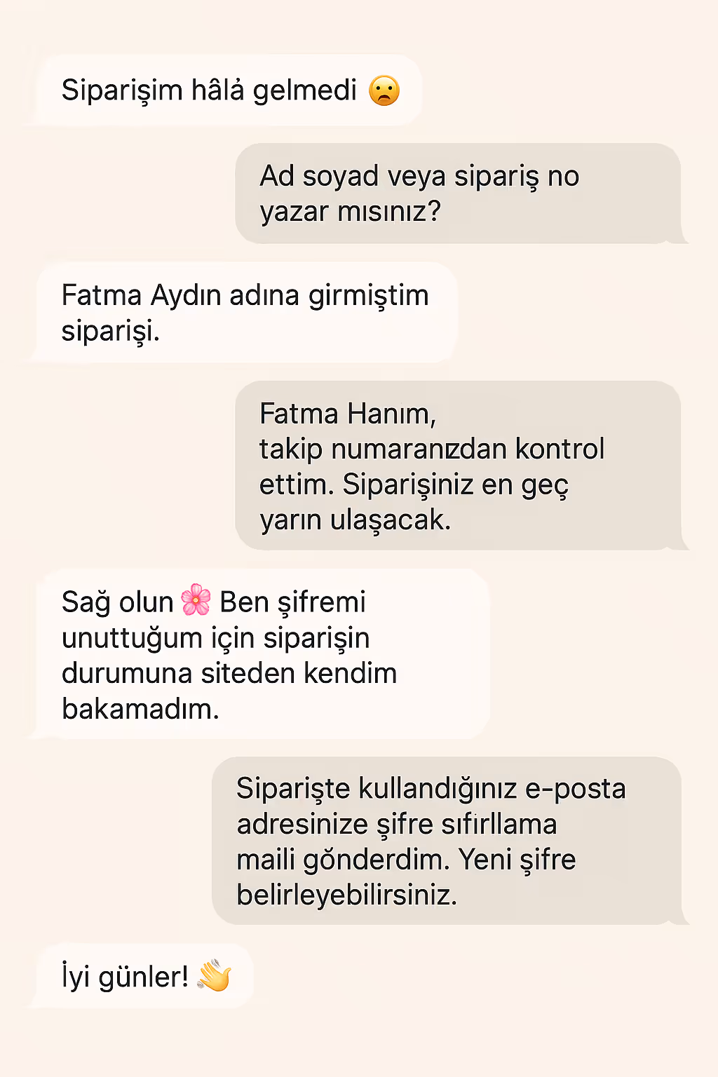 example chat