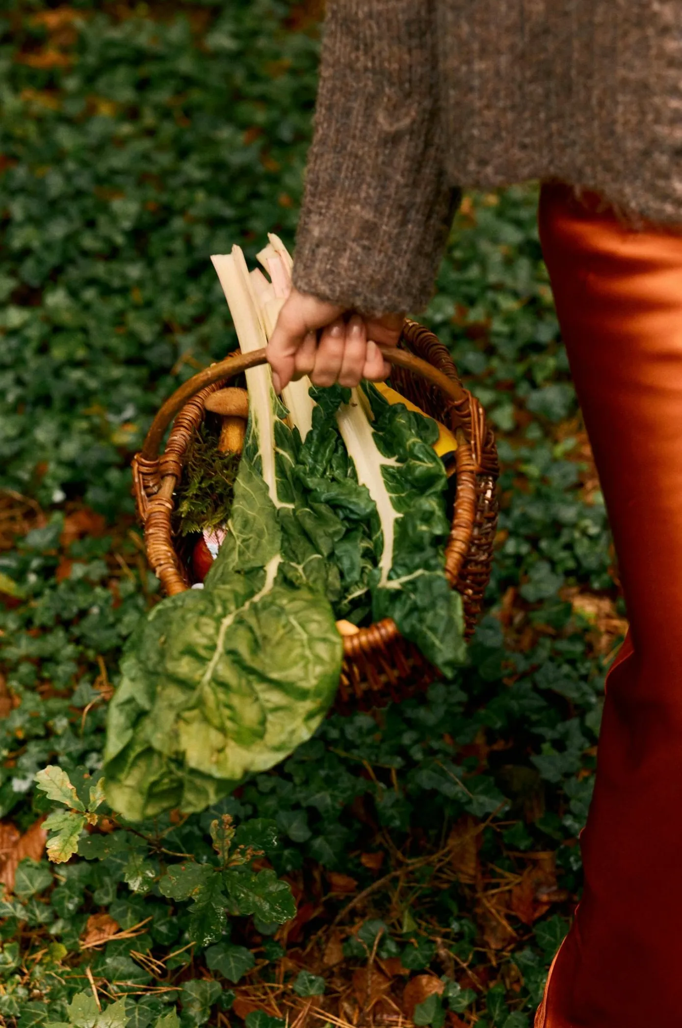 basket harvest greens walk home