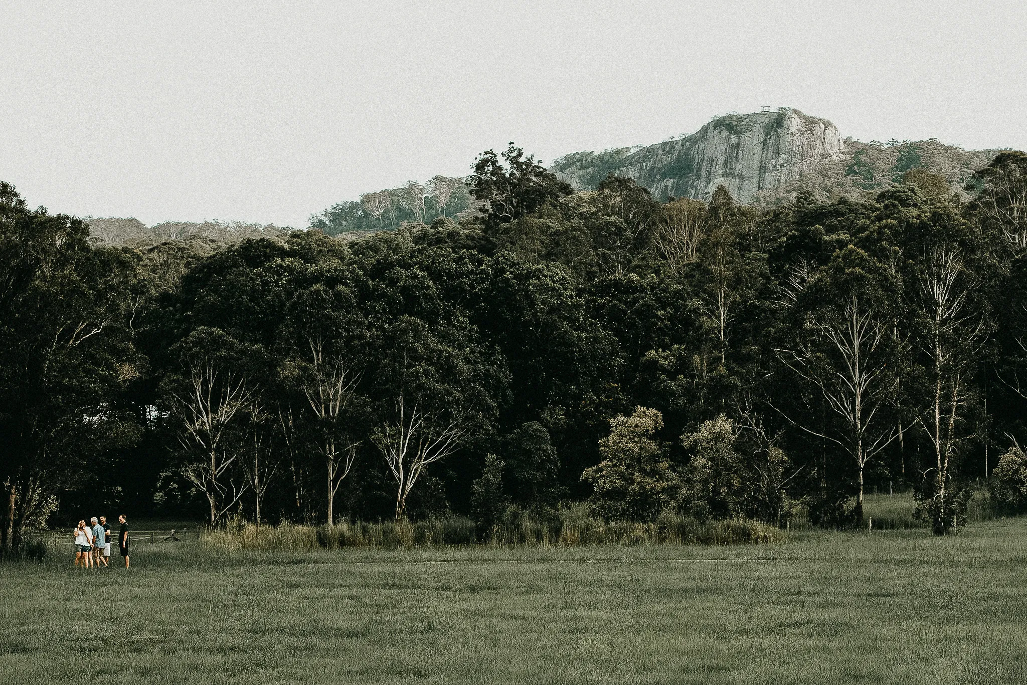 noosa hinterland recovery
