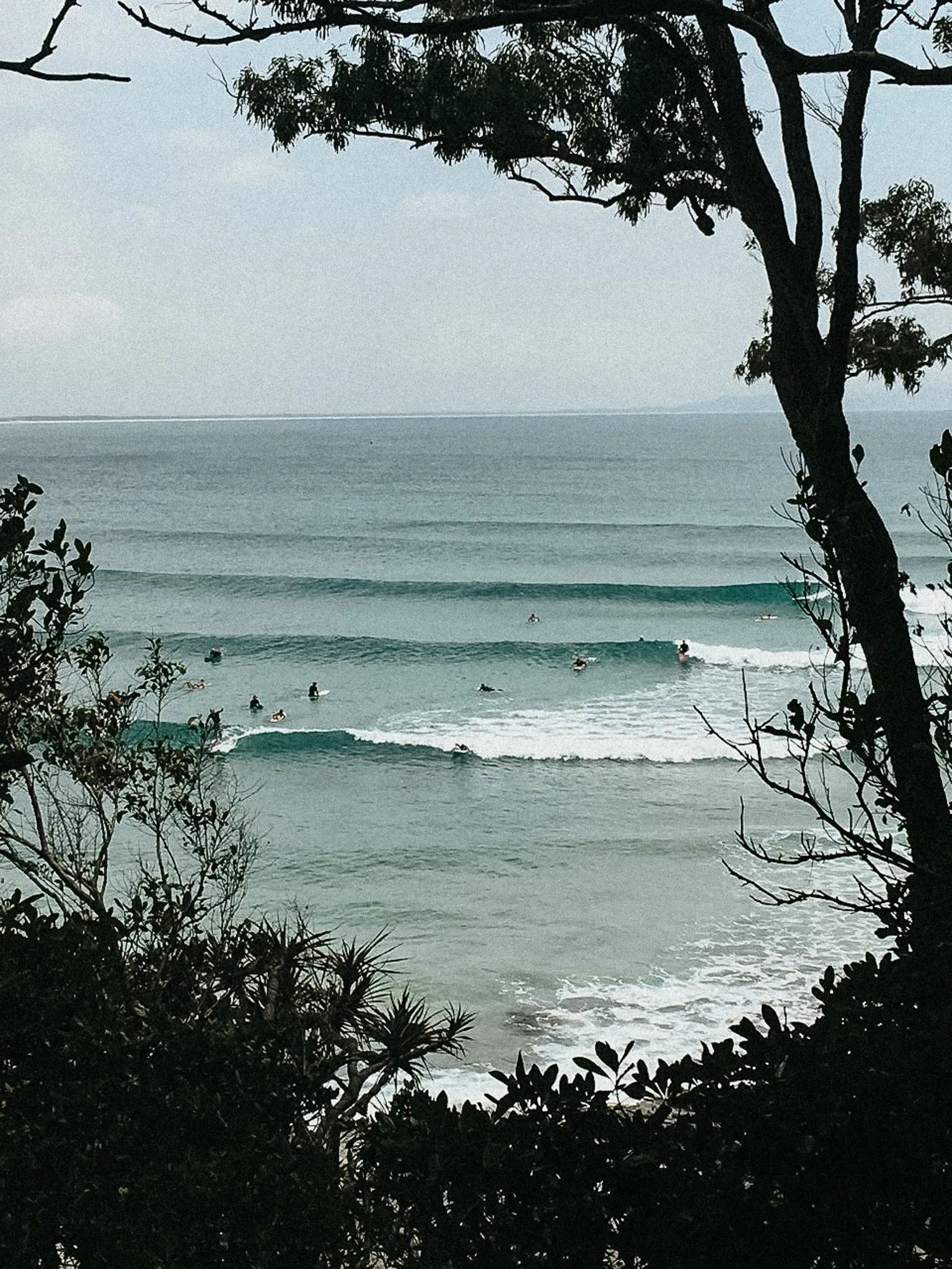 beachfront view between trees