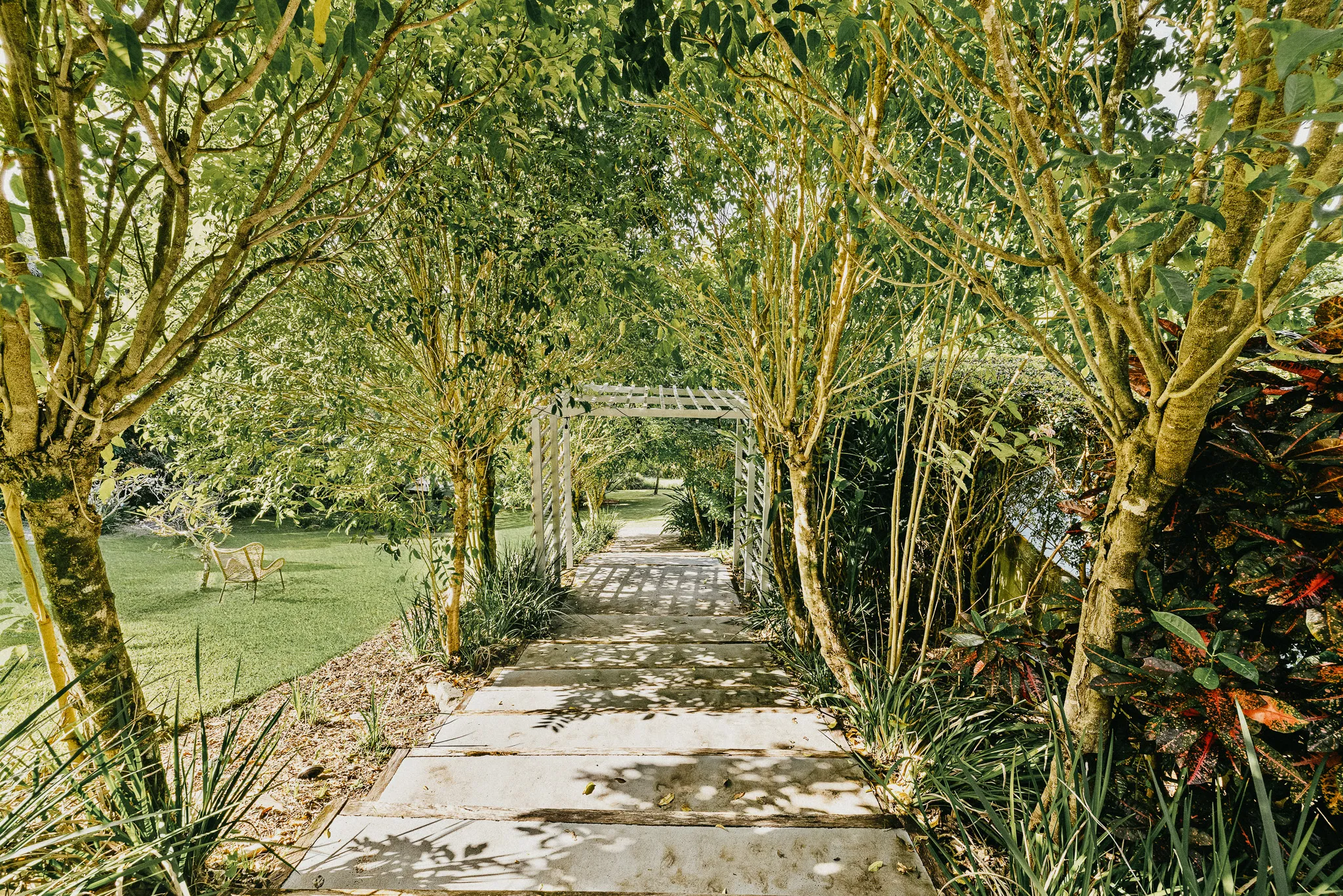 tree lined pathway retreat entry