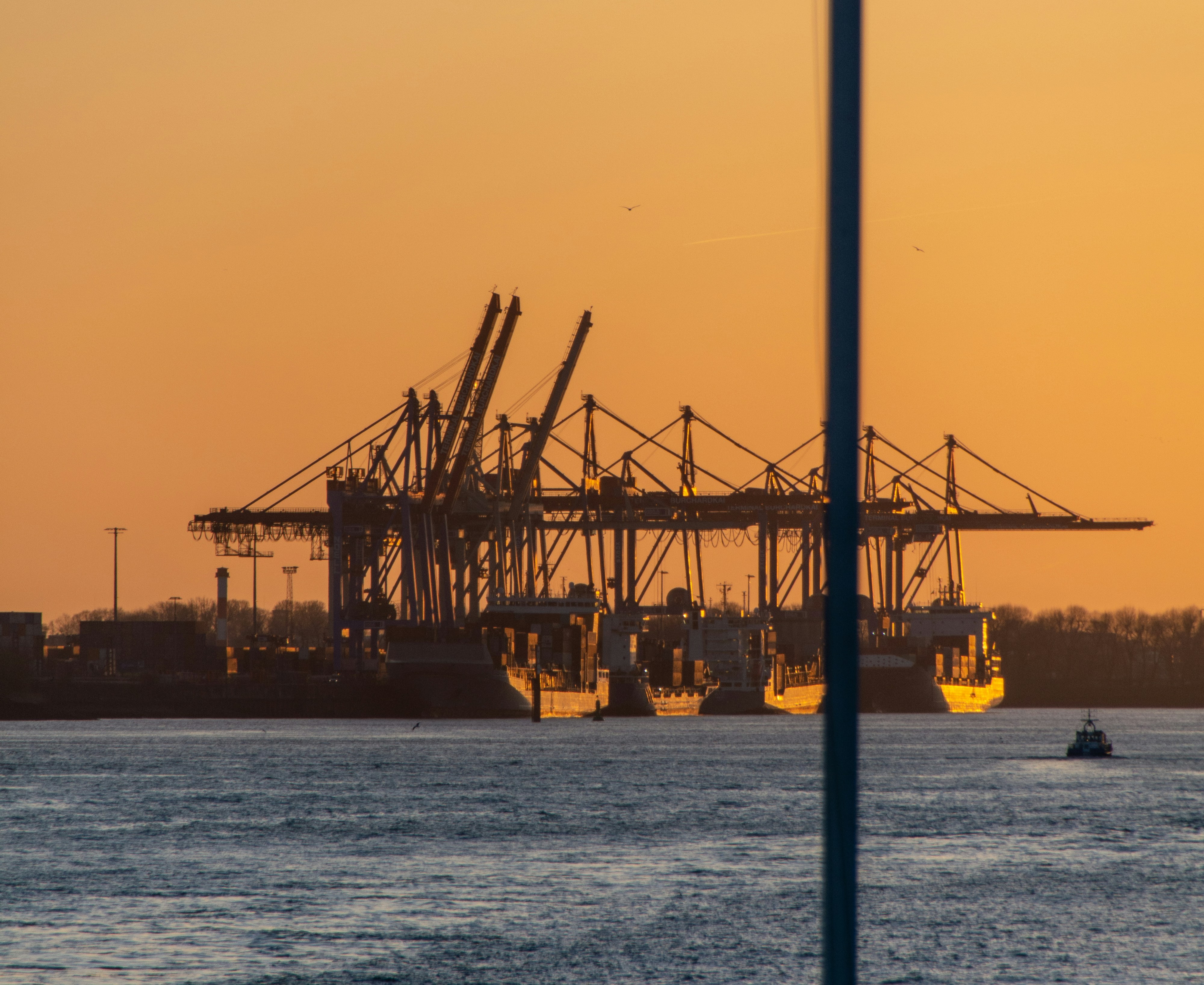 Boletín de Inteligencia Logística | Semana 18 noviembre 2025 → 25 noviembre 2025