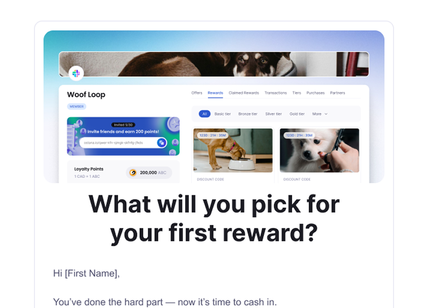 product screenshot
