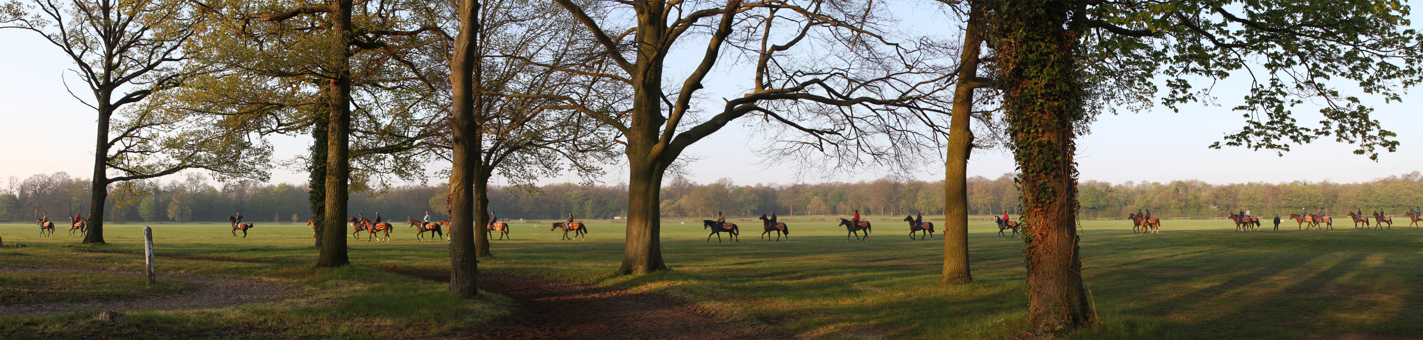 A wide shot of riders on horseback on a morning walk