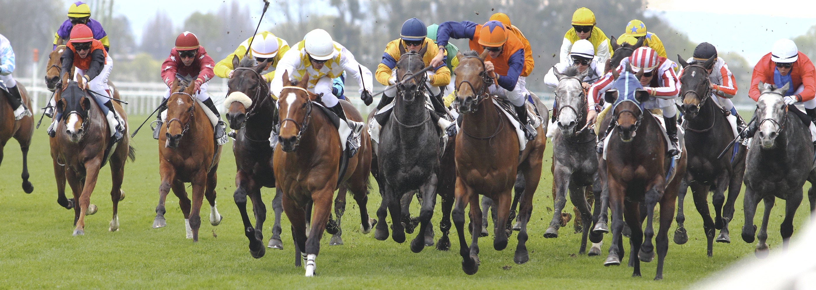 A wide shot of a horse race