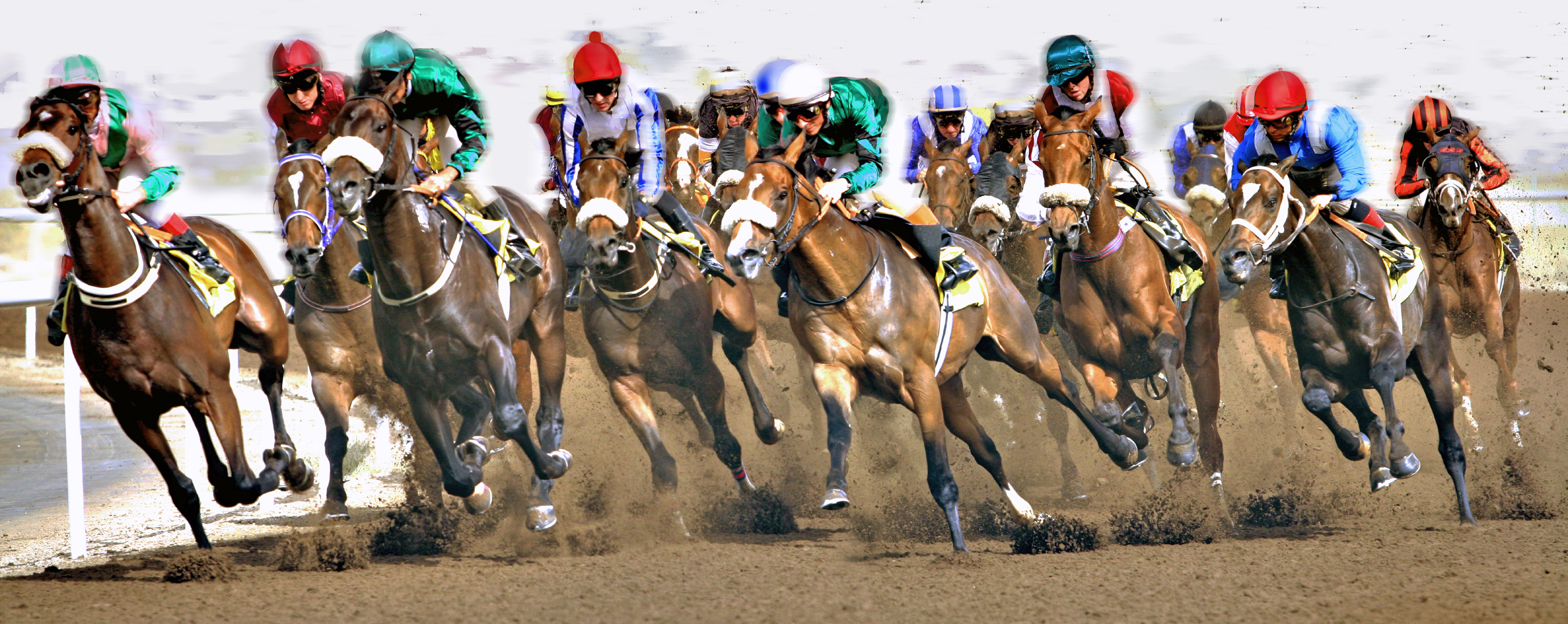 A wide shot of race horses during a turn