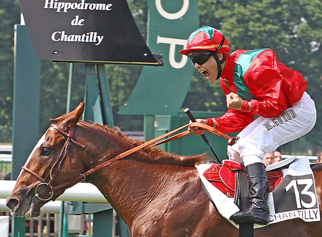 A horse rider celebrates