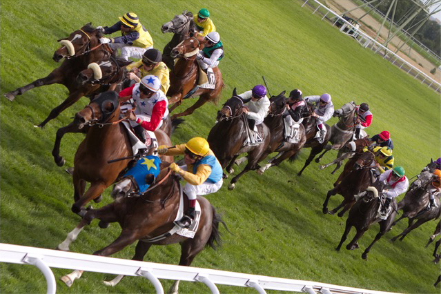 A race photographed from the stands