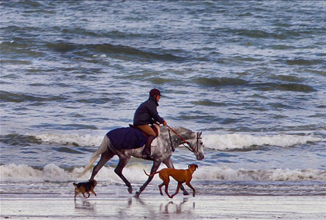 A rider with his pets