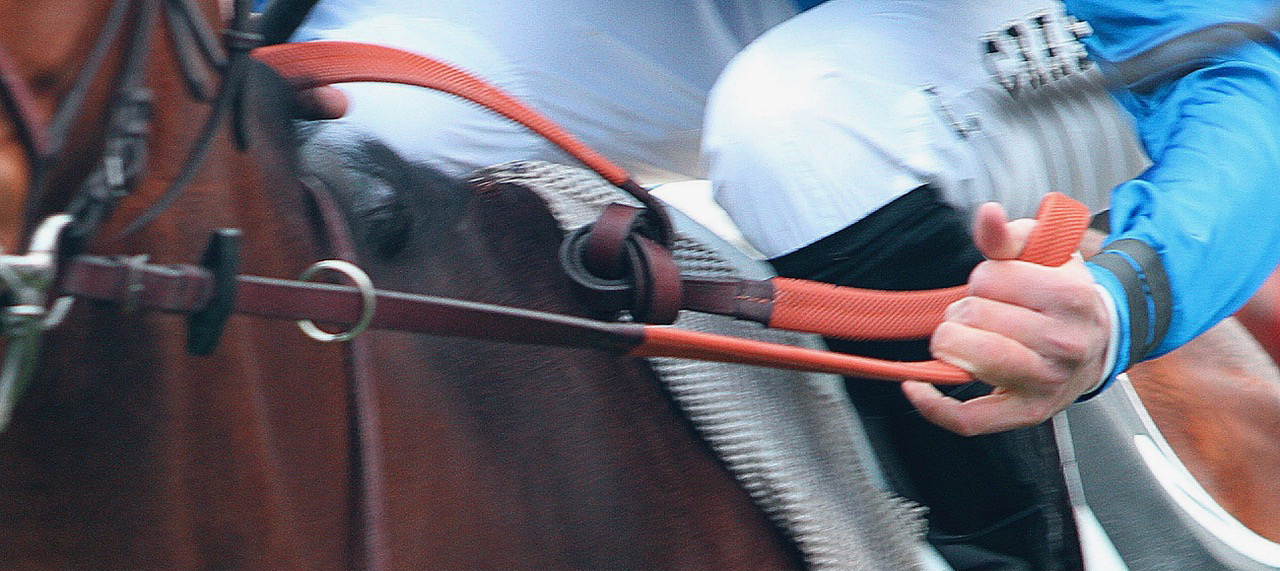 A horse rider holding reigns