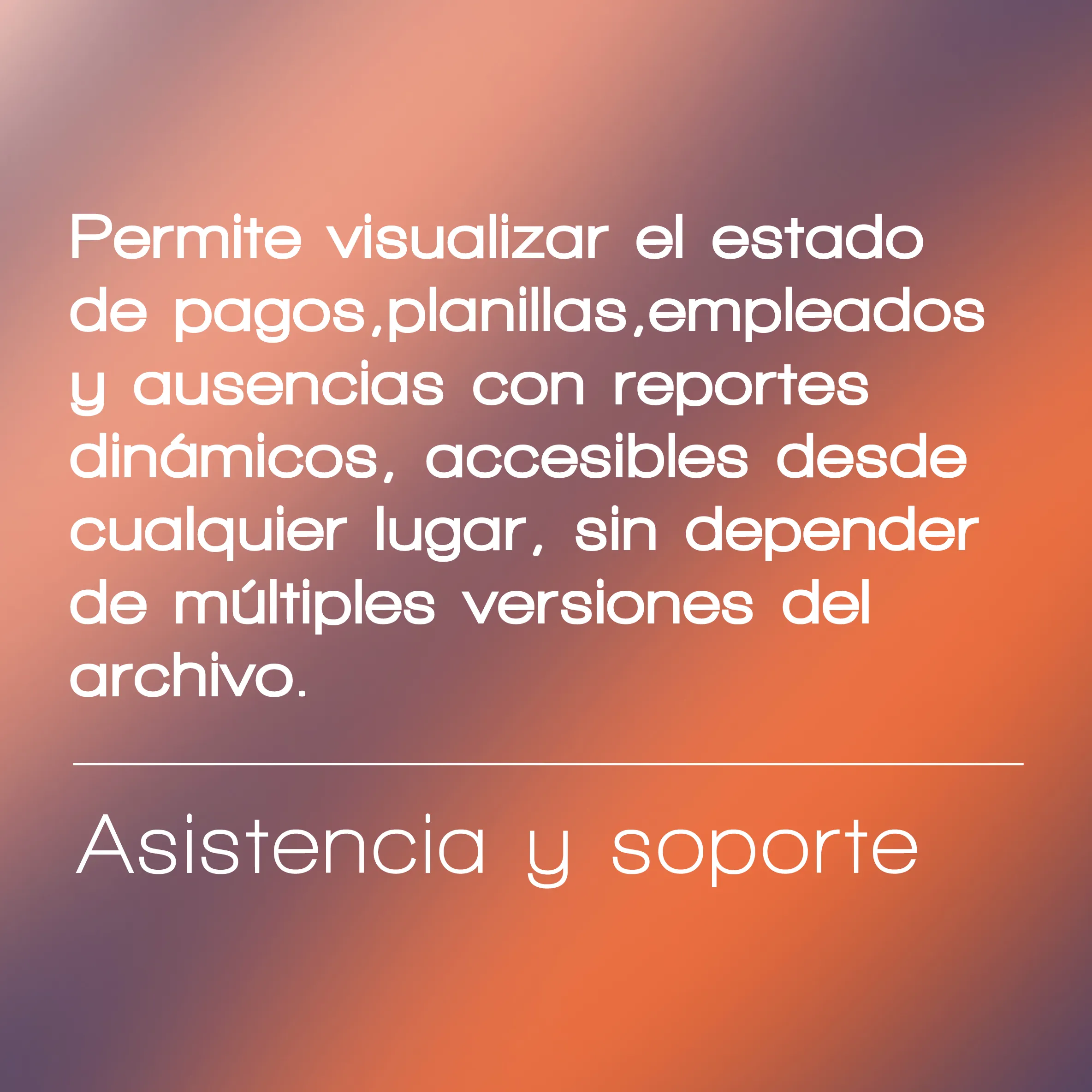 Asistencia y Soporte: Permite visualizar el estado de pagos, planillas, empleados y ausencias con reportes dinámicos, accesibles desde cualquier lugar, sin depender de múltiples versiones del archivo.