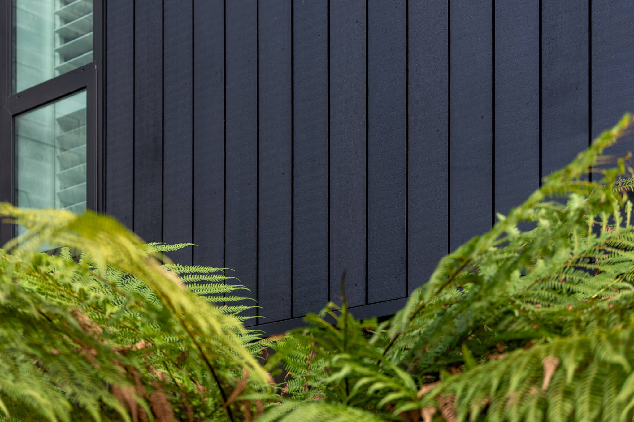Close-up of a dark gray wooden fence with vertical lines, surrounded by lush green ferns.