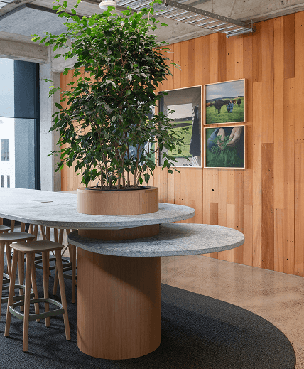 A modern office interior with a round table, chairs, and a large leafy plant. Two framed paintings on wooden walls. 