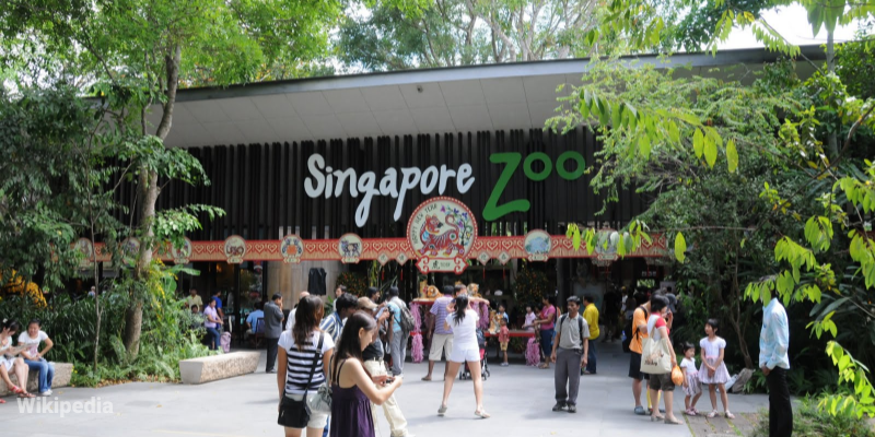 Singapore 7
