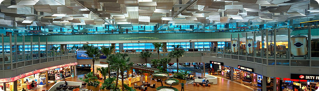 Airport Transfer 4