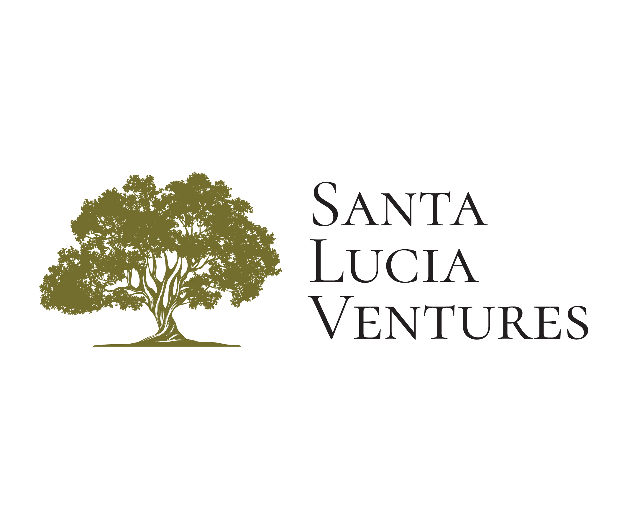 Link to Santa Lucia Ventures website.