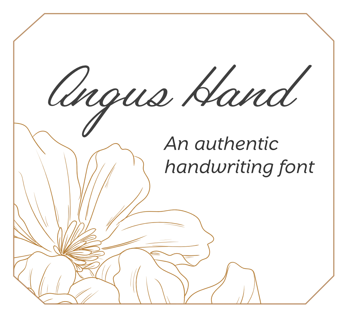 Angus Hand written in a handwritten script. The lower left has a detailed vector drawing of flowers in a gold colour and everything is set on a warm beige background.