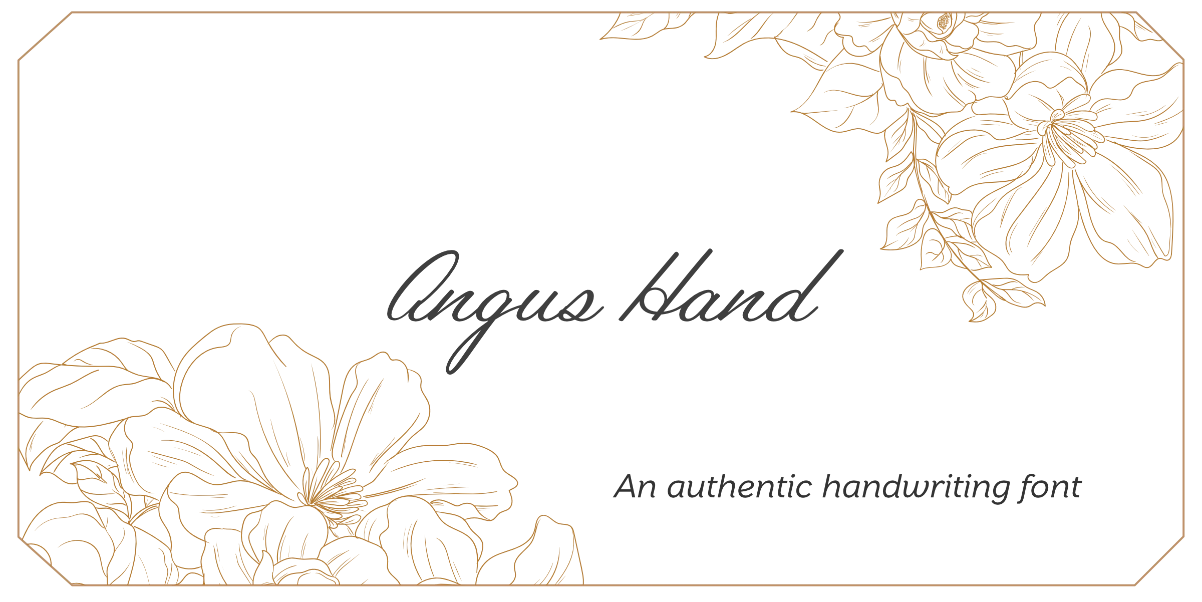 Angus Hand written in a handwritten script. The lower left and upper right have a detailed vector drawing of flowers in a gold colour and everything is set on a warm beige background.