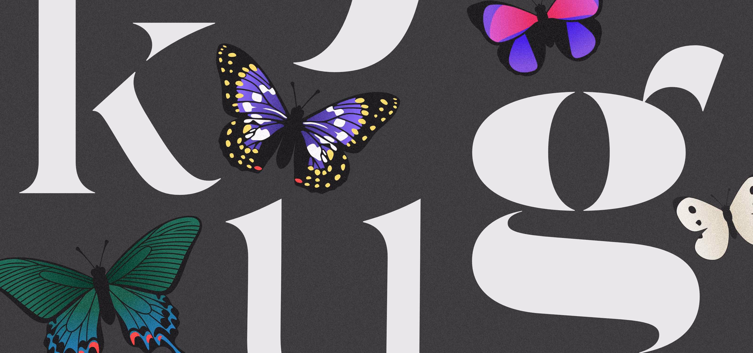 Four colorful butterflies in green and blue, purple with yellow and white spots, pink and purple, and white with black spots, positioned against a dark background with large white stylized letters.