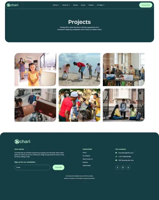 Projects 2-Screenshot