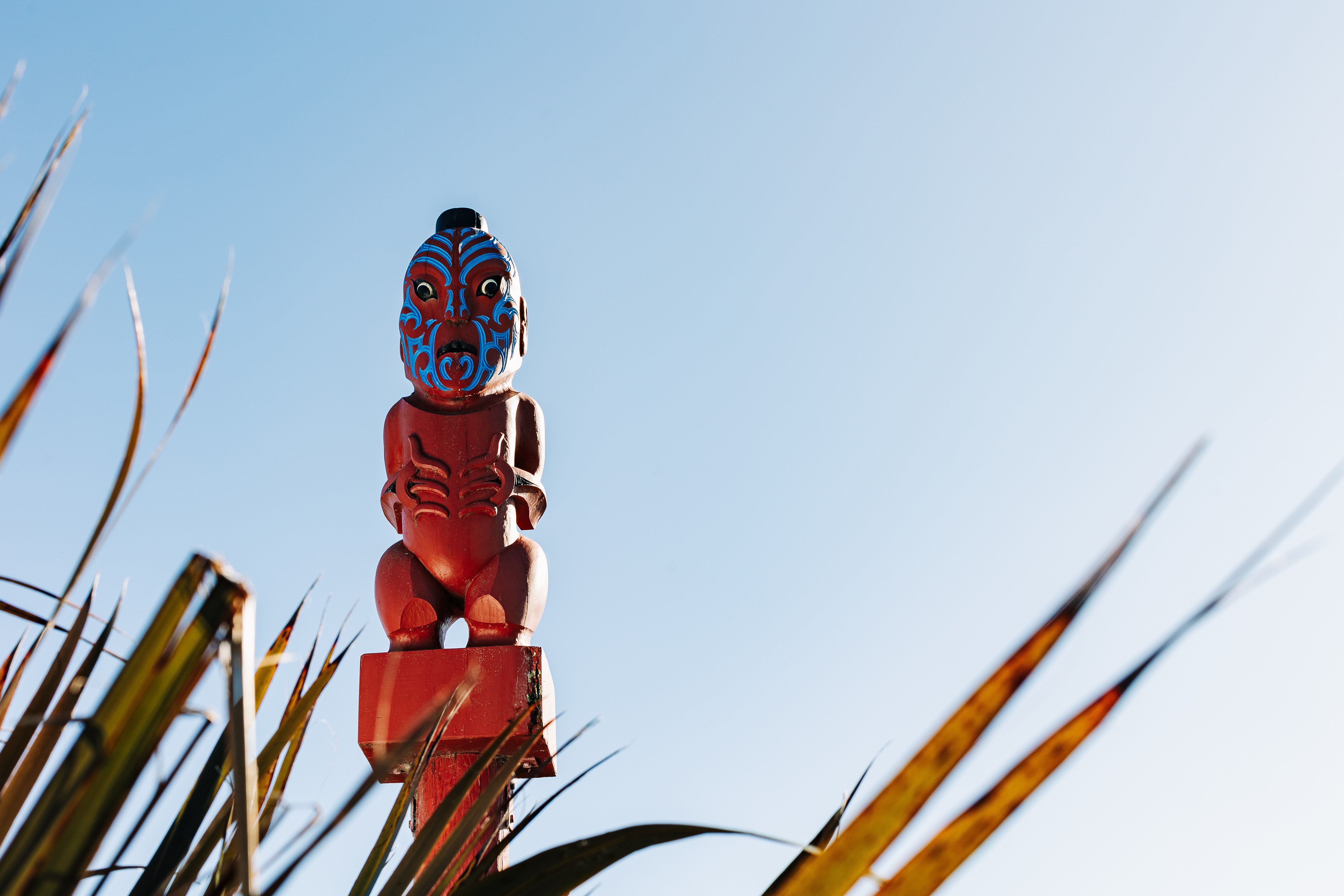 Māori Cultural Advisor
