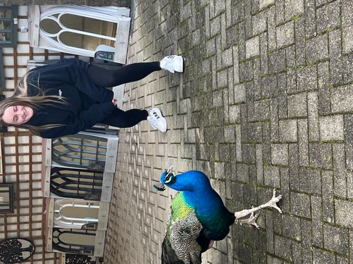 Catwalk - Walk the Walk