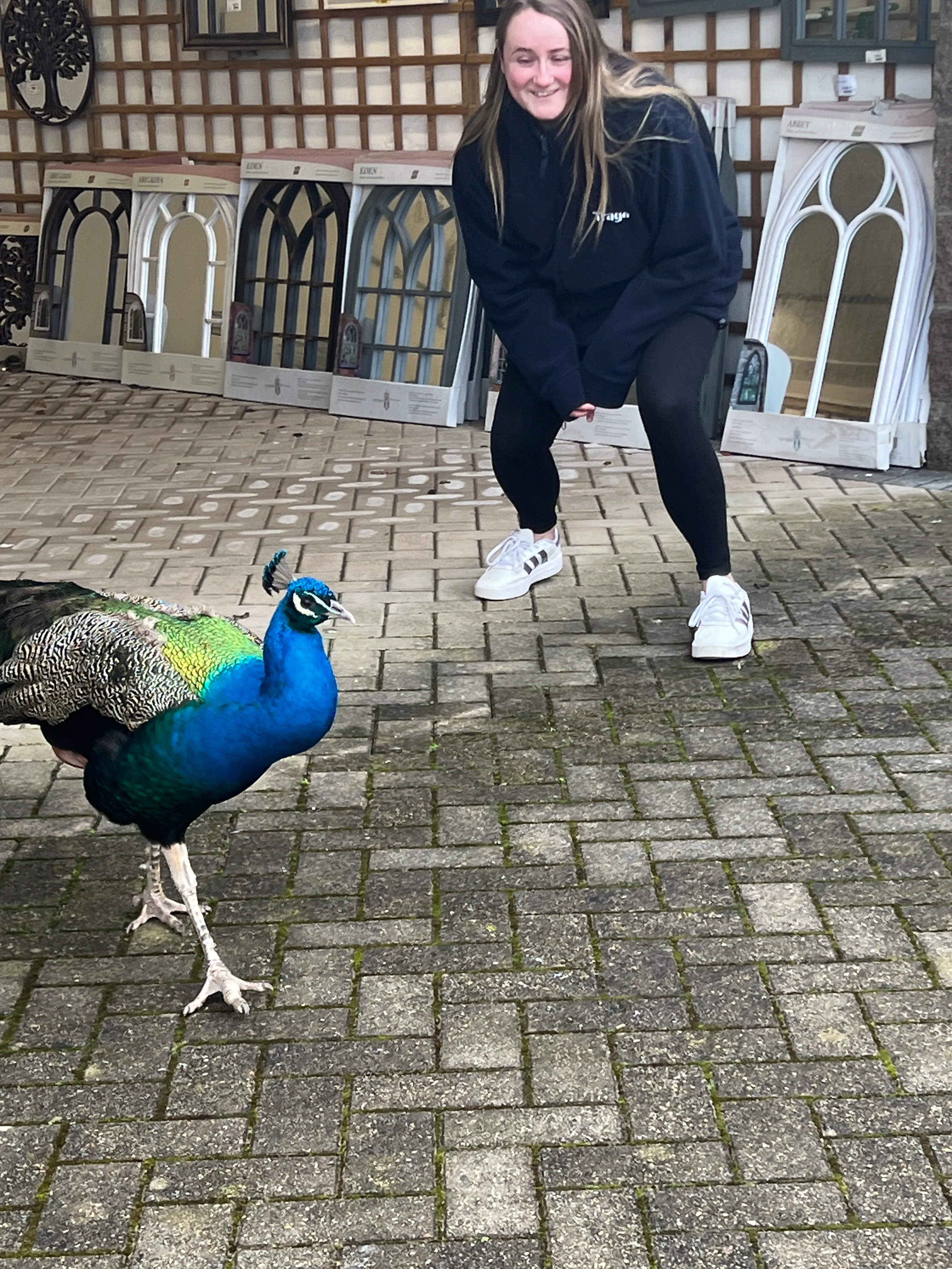 Catwalk -  Walk the Walk