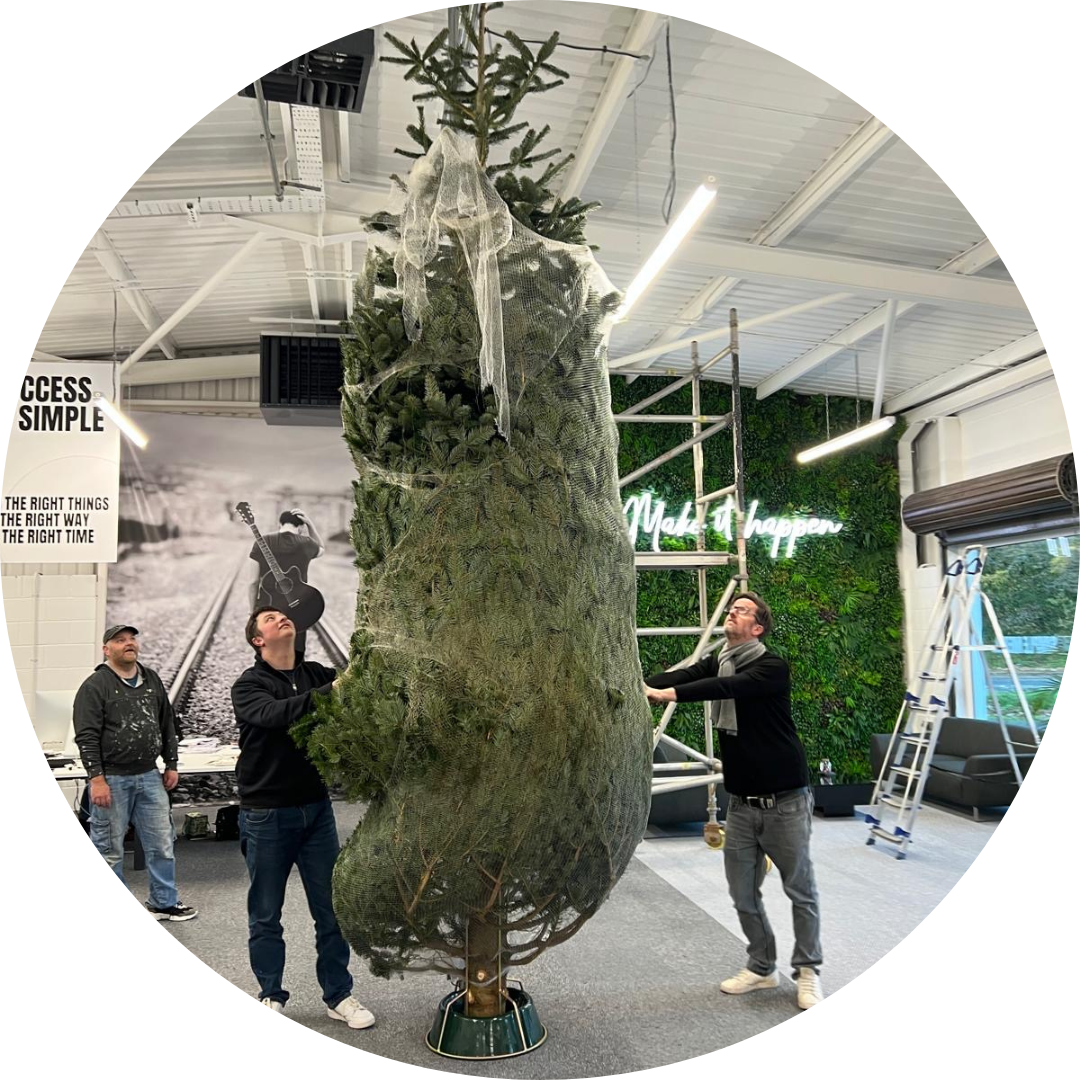 Catwalk - Walk the Walk