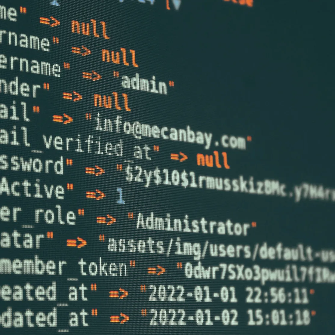 Highlighted lines of code on a dark terminal screen
