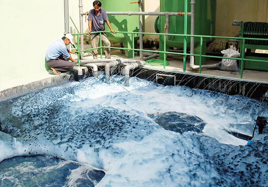 Effluent Treatment