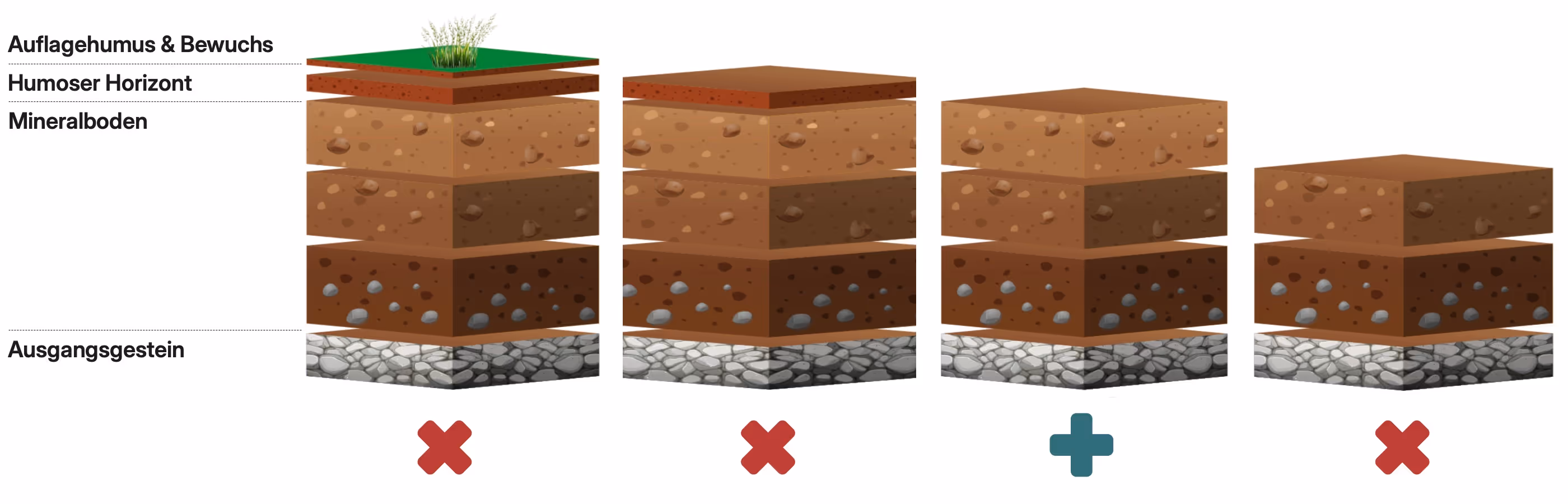 Perfekte Tiefe einer Bodenvorverwundung vor einer Aussaat.