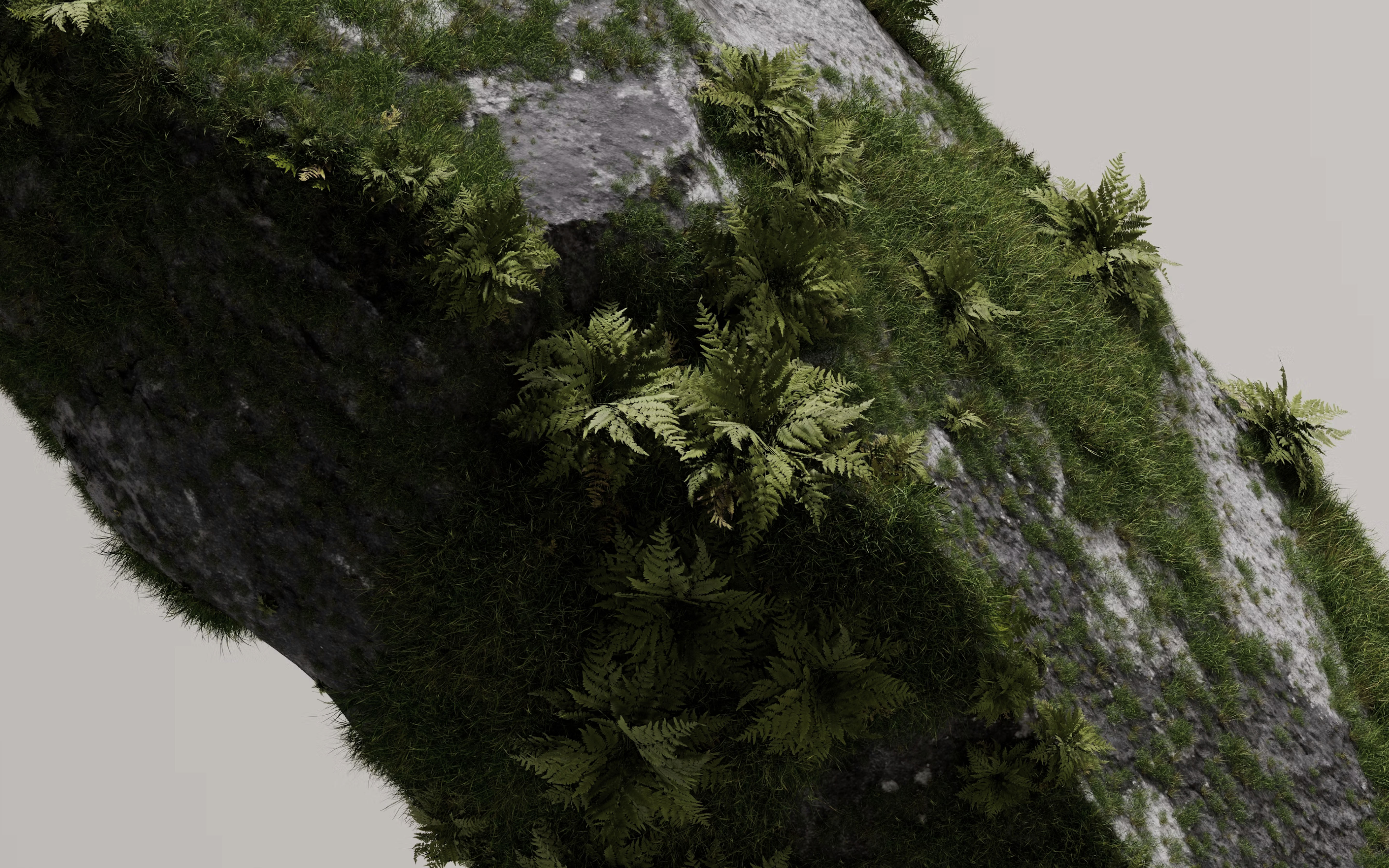 Nature-inspired 3D interior render for Verde Studio