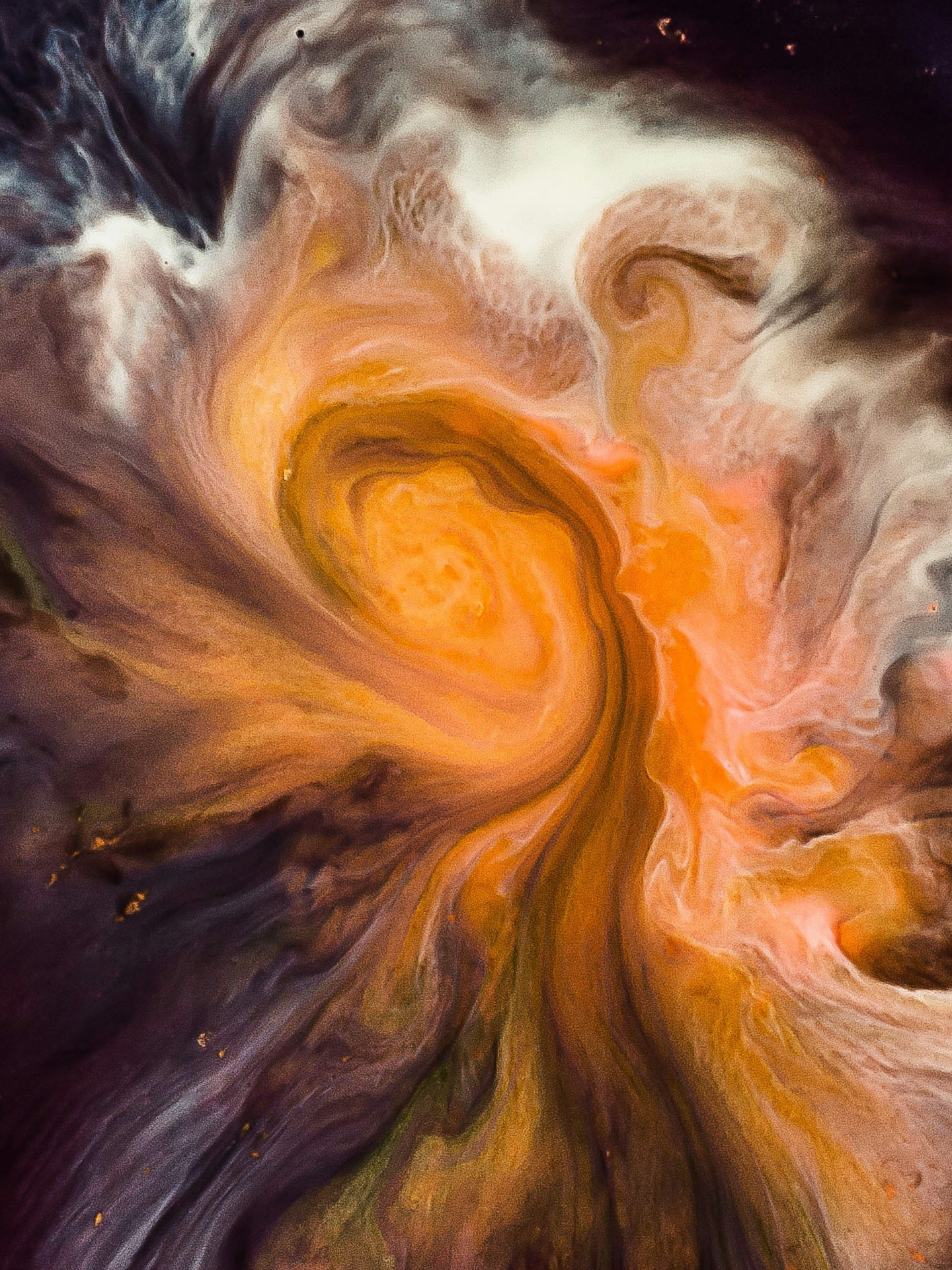 Typography and colour swatches from a brand system