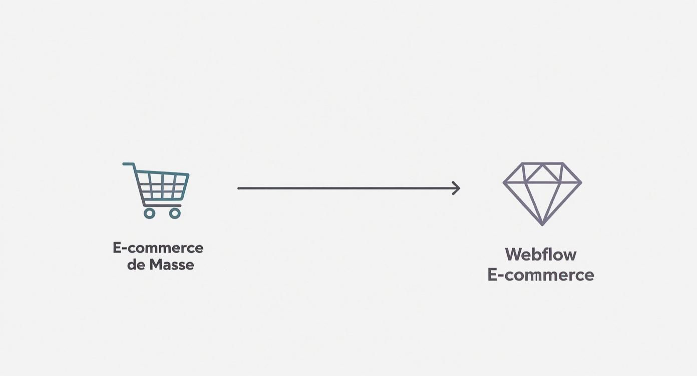 Infographic about webflow e commerce