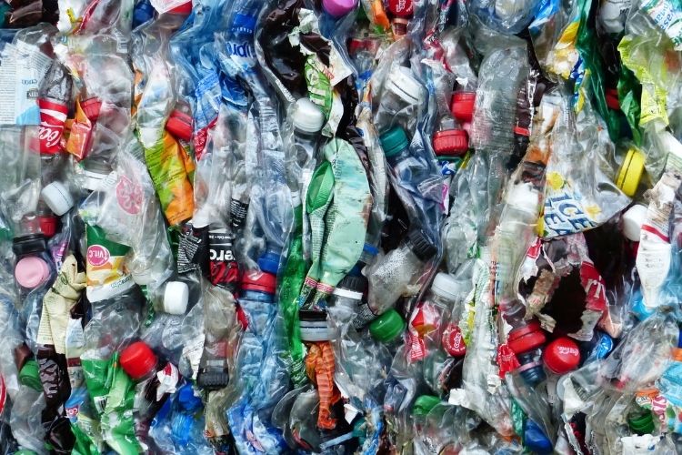 bouteilles plastiques