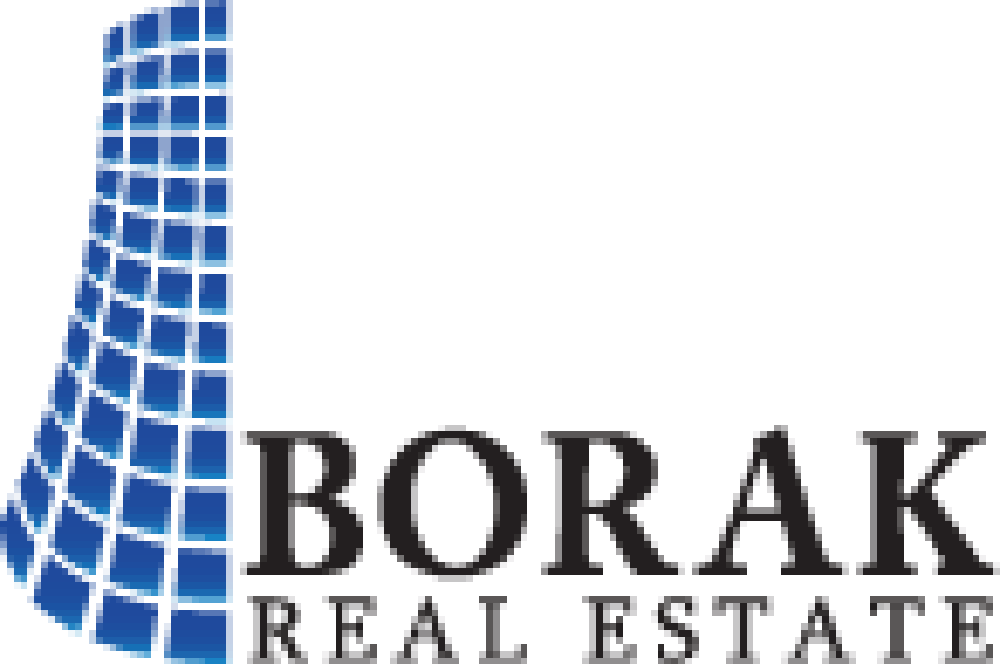 Logo featuring a stylized blue building silhouette next to the bold text 'BORAK REAL ESTATE'.