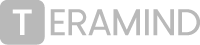Teramind company logo in grey.