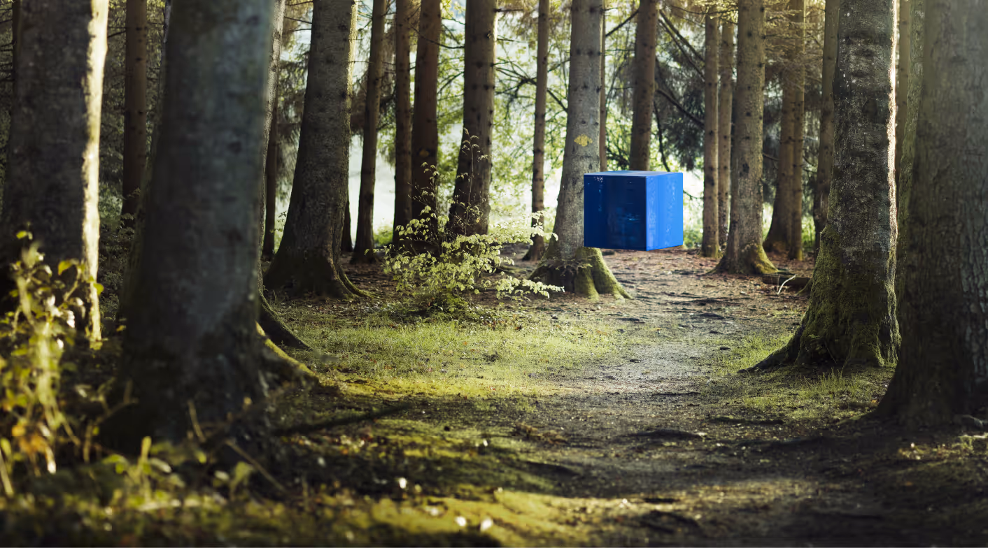 Blauer Synprovis-Würfel im Wald