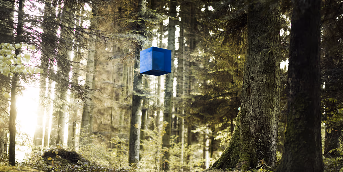 Blauer Synprovis-Würfel im Wald