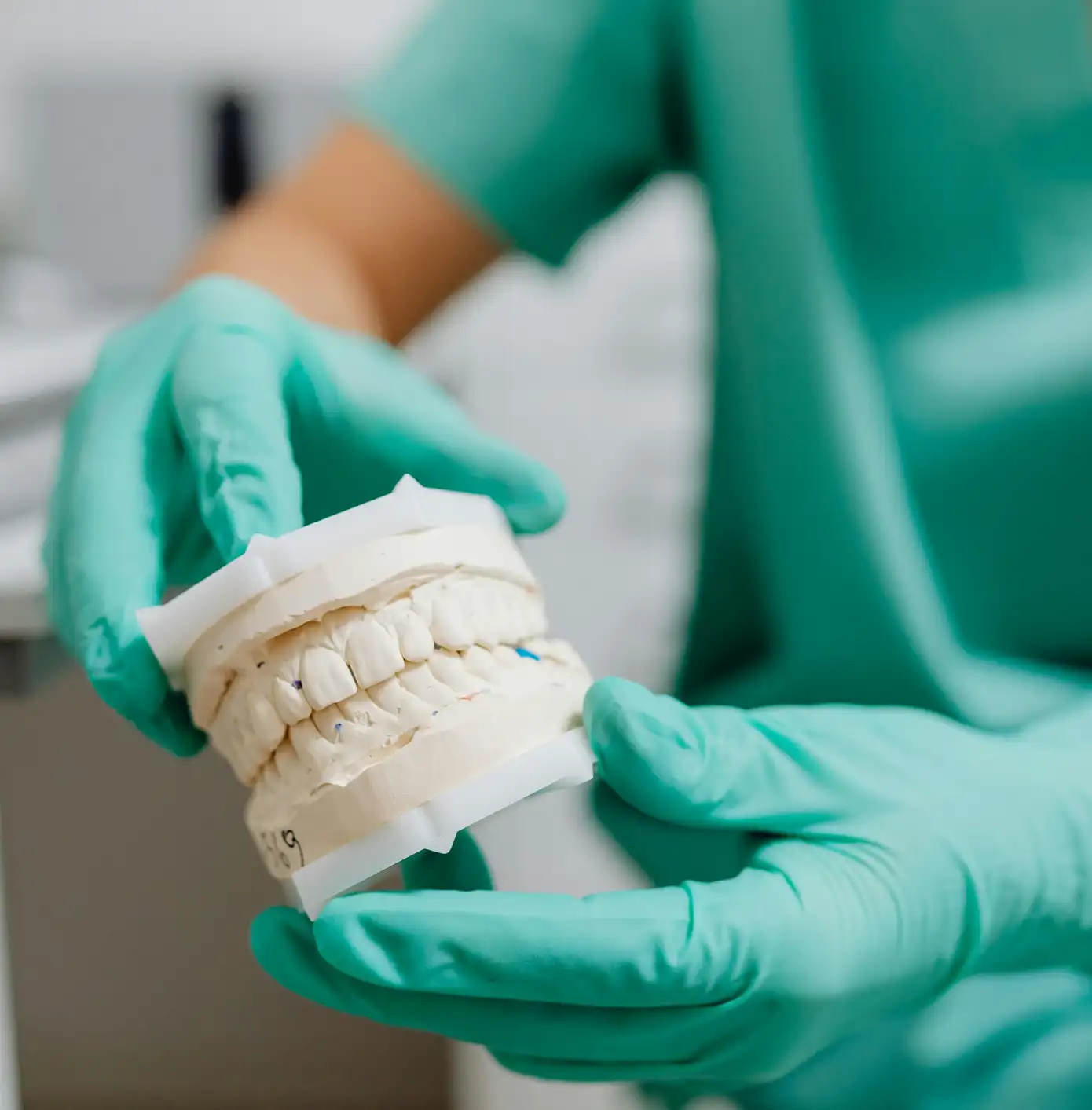 Dental professional wearing green gloves holding a plaster dental mold of teeth.