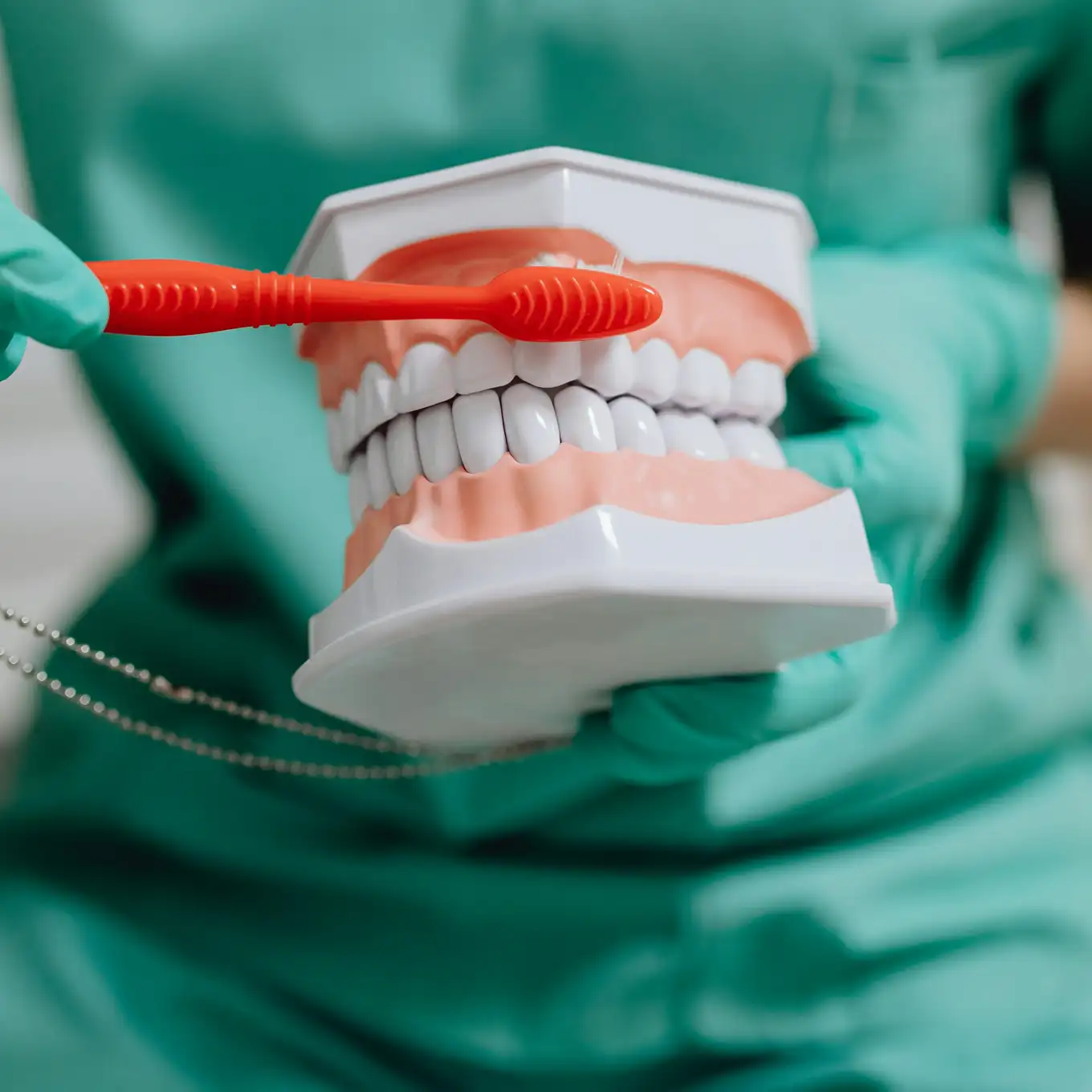 Dentist wearing green gloves holding a dental model and demonstrating tooth brushing with a red toothbrush.