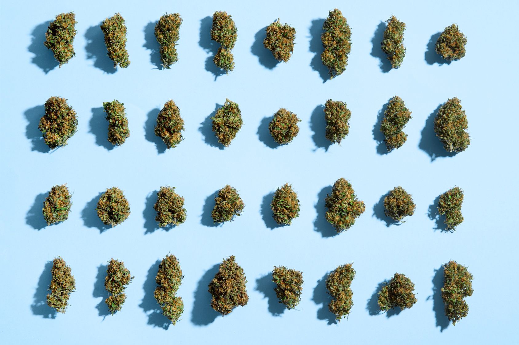 Cannabis bei Migräne